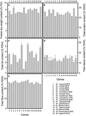 Nutritional Value of the Duckweed Species of the Genus Wolffia (Lemnaceae) as Human Food